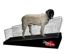 JOG A DOG DC7 canine treadmill