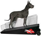 dog treadmill